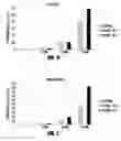 Fig. 04 - RECOVERING ANALYTES BY REVERSE PLASMAPORATION
