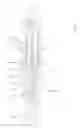 Fig. 03 - ENDOSCOPIC BIOPSY INSTRUMENT