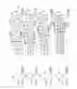 Fig. 77 - Hand held rotary powered surgical instruments with end effectors that are articulatable about multiple axes