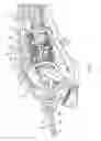 Fig. 07 - Methods and devices for auto return of articulated end effectors