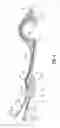 Fig. 05 - VESSEL SEALING FORCEPS