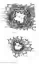 Fig. 20 - ENERGY DELIVERY AND ILLUMINATION DEVICES AND METHODS