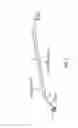 Fig. 07 - CLINICAL DISPENSER AND APPLICATOR