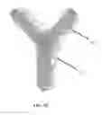 Fig. 08 - METHODS AND COMPOSITIONS FOR PROMOTING THE STRUCTURAL INTEGRITY OF SCAFFOLDS FOR TISSUE ENGINEERING