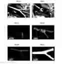 Fig. 03 - Method of producing a 3D subject specific biomimetic nerve conduit