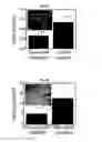 Fig. 08 - Method of producing a 3D subject specific biomimetic nerve conduit