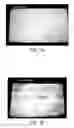 Fig. 08 - TISSUE-ENGINEERED CONSTRUCTS
