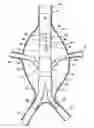 Fig. 01 - DEVICE FOR REPAIRING ANEURYSM WITHIN MULTI-BRANCH VESSEL