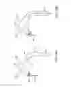 Fig. 31 - Method for aortic branched vessel repair