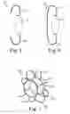 Fig. 03 - HAPTIC FOR ACCOMMODATING INTRAOCULAR LENS