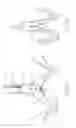 Fig. 09 - Implantable device and delivery system for reshaping a heart valve annulus