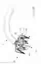 Fig. 22 - Implantable device and delivery system for reshaping a heart valve annulus