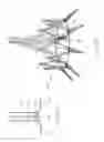 Fig. 37 - Implantable device and delivery system for reshaping a heart valve annulus