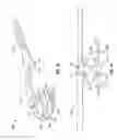 Fig. 08 - Void filling joint prosthesis and associated instruments
