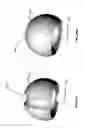 Fig. 57 - Femoral heads, mobile inserts, acetabular components, and modular junctions for orthopedic implants and methods of using femoral heads, mobile insets, acetabular components, and modular junctions for orthopedic implants