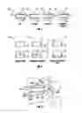 Fig. 07 - Expandable fusion device and method of installation thereof