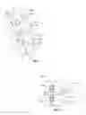 Fig. 02 - Systems and methods for treating spinal deformities