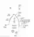 Fig. 20 - Apparatus and method for stabilization of procedural catheter in tortuous vessels
