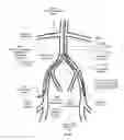 Fig. 26 - Apparatus and method for stabilization of procedural catheter in tortuous vessels