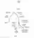 Fig. 29 - Apparatus and method for stabilization of procedural catheter in tortuous vessels