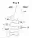 Fig. 04 - Devices and methods for reducing absorption