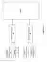Fig. 44 - System, methods and apparatus for delivering nerve stimulation to a patient with physician oversight