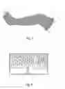 Fig. 03 - Water Activated Cast Sock