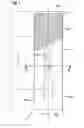 Fig. 02 - Absorbent cores having material free areas