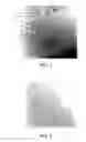 Fig. 02 - Mascara composition and method