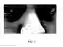 Fig. 03 - Mascara composition and method