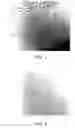 Fig. 02 - Mascara composition and method