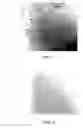Fig. 02 - Mascara composition and method