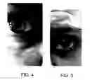 Fig. 04 - Mascara composition and method