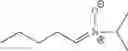 Fig. 24 - Polymeric nitrones and their use in personal care