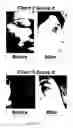 Fig. 05 - Cosmetic kit