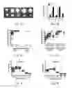 Fig. 07 - Self-assembled residence devices and related methods