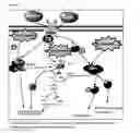 Fig. 07 - Compositions and methods for treating cancer