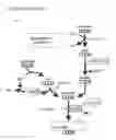 Fig. 06 - Succinate dehydrogenase inhibitors (SDHi's)