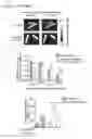 Fig. 09 - Succinate dehydrogenase inhibitors (SDHi's)