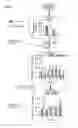 Fig. 14 - Succinate dehydrogenase inhibitors (SDHi's)
