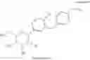Fig. 02 - Method for Suppressing Glucagon Secretion of an SGLT2 Inhibitor