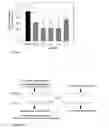 Fig. 02 - Hydroxyflavanones as appetite stimulants