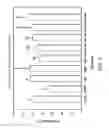 Fig. 08 - COMPOSITION FOR REGULATING BLOOD SUGAR
