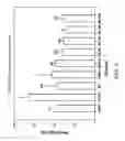 Fig. 10 - COMPOSITION FOR REGULATING BLOOD SUGAR