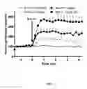 Fig. 02 - Opioid agonist antagonist combinations