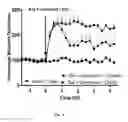 Fig. 06 - Opioid agonist antagonist combinations
