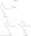 Fig. 28 - NOVEL PIPERAZINES, PHARMACEUTICAL COMPOSITIONS AND METHODS OF USE THEREOF