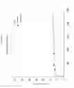 Fig. 05 - SOLID DISPERSIONS OF A ERB2 (HER2)  INHIBITOR