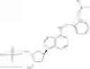 Fig. 18 - INHIBITORS OF E1 ACTIVATING ENZYMES