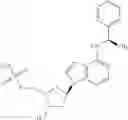 Fig. 23 - INHIBITORS OF E1 ACTIVATING ENZYMES